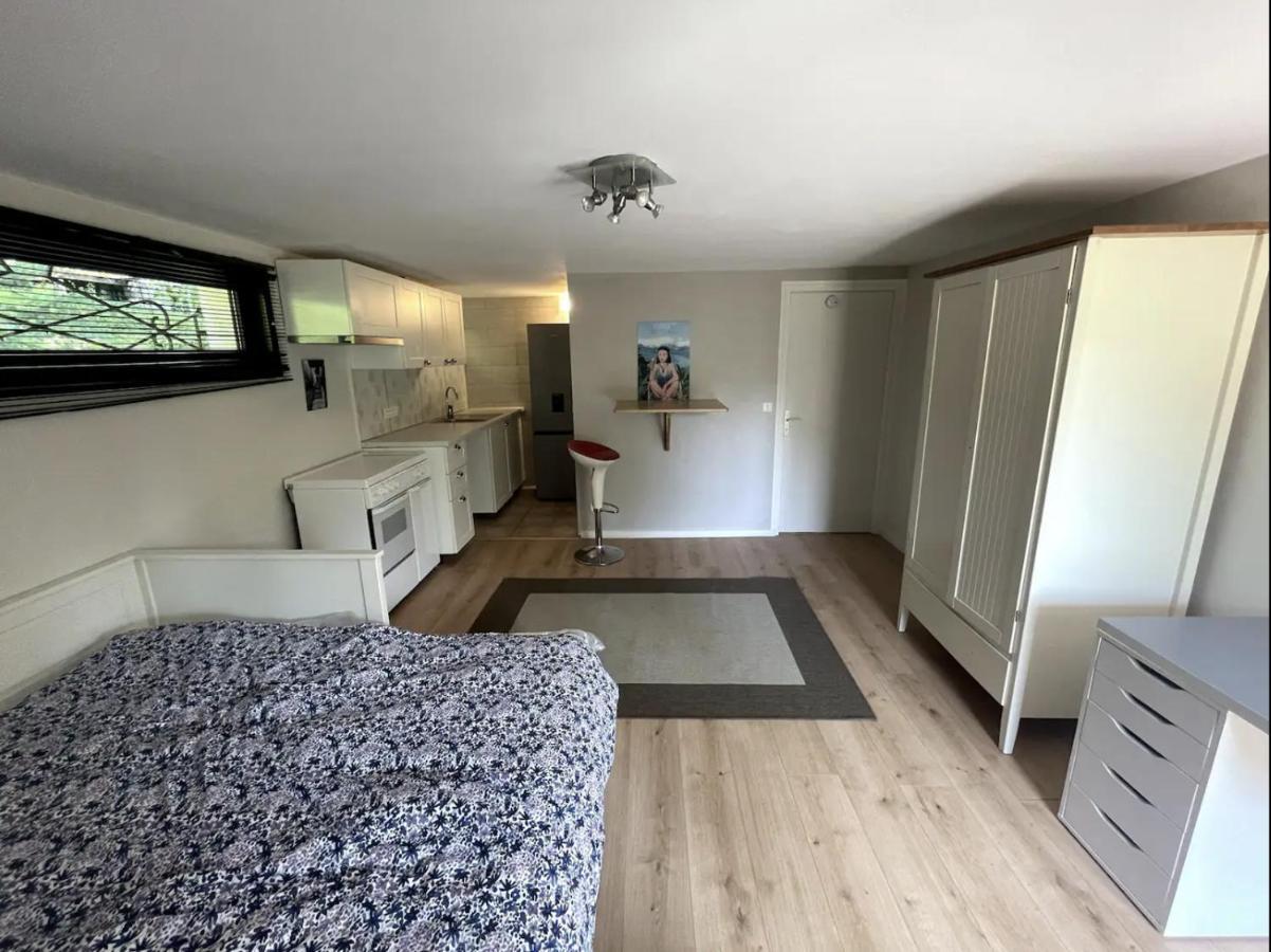 Quiet Studio In A House In Sevrier Annecy Lake Very Close To The Lake Εξωτερικό φωτογραφία