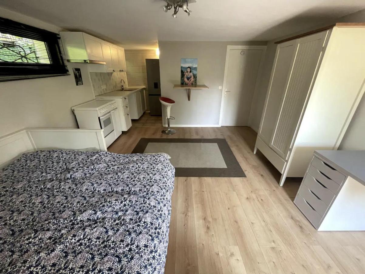 Quiet Studio In A House In Sevrier Annecy Lake Very Close To The Lake Εξωτερικό φωτογραφία